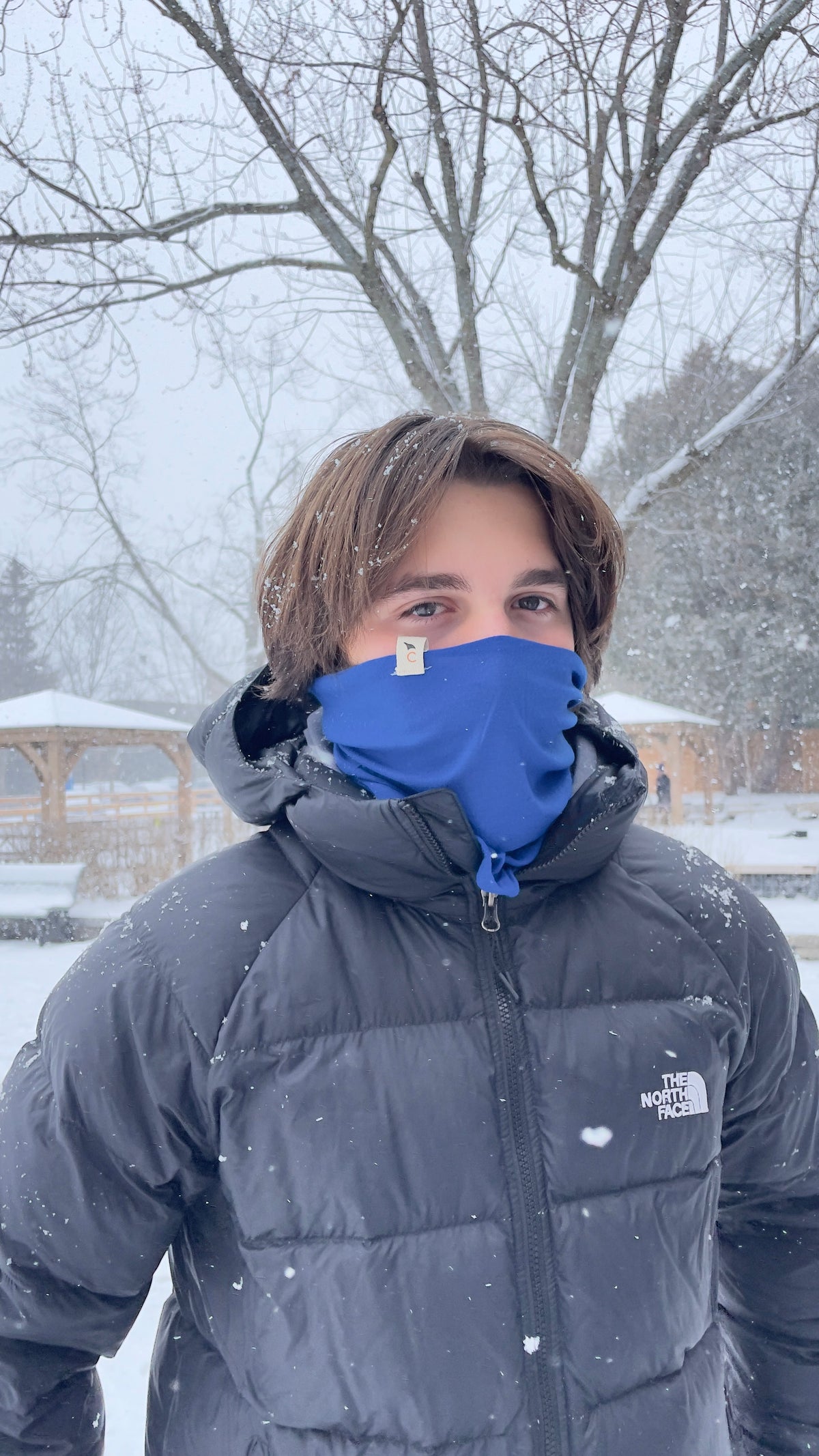 Cache-cou bleu royal Antarctica