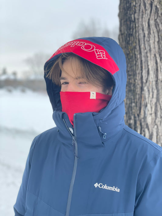 Cache-cou rouge Antarctica